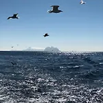 Bortersia Sørvågen