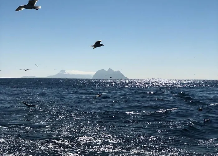 Bortersia Sørvågen
