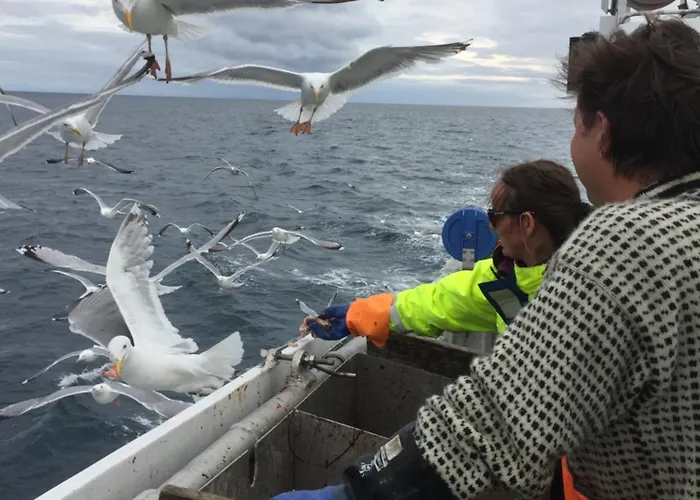 Nyaraló Bortersia Sørvågen