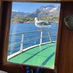 Bortersia Sørvågen